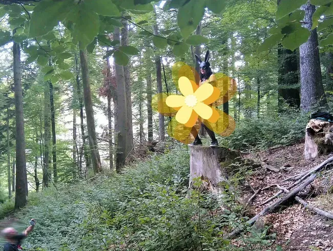 Perverser Hase