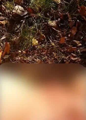Pissen im Wald !!!